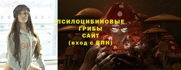 индика Армянск