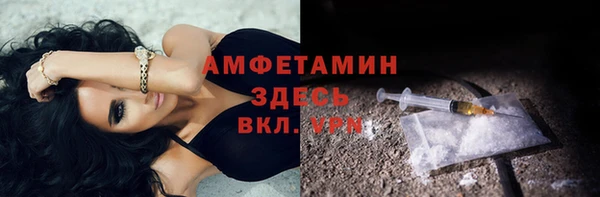 индика Армянск
