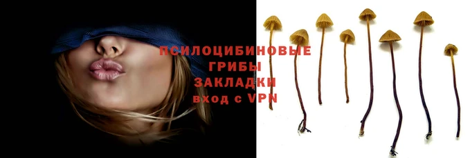 индика Армянск