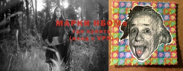 индика Армянск