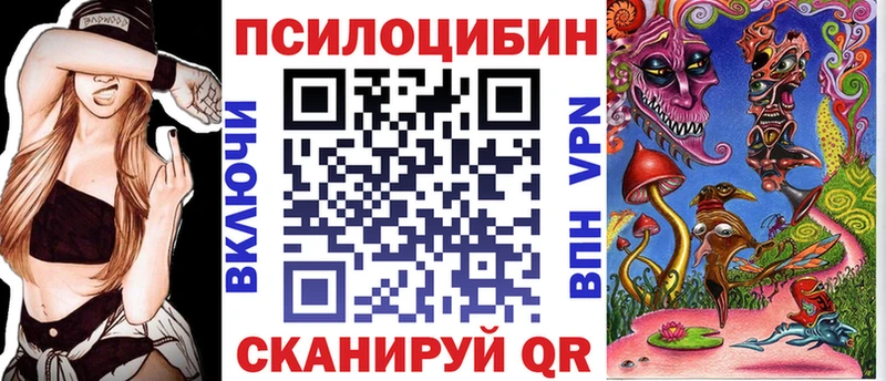 Купить закладки  Нарьян-Мар  Псилоцибиновые грибы Psilocybe 